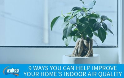 9 Ways You Can Help Improve Your Home’s Indoor Air Quality